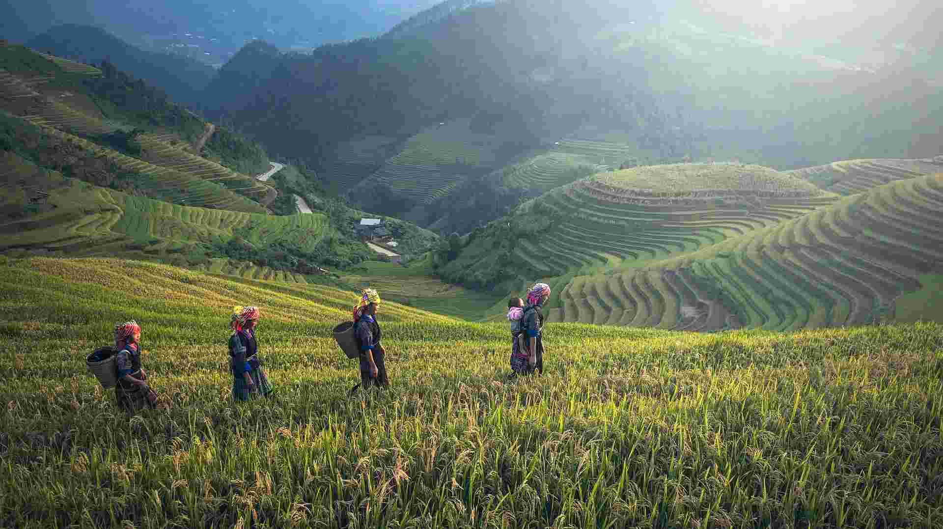 Sapa Village Trek and Topas Ecolodge Retreat