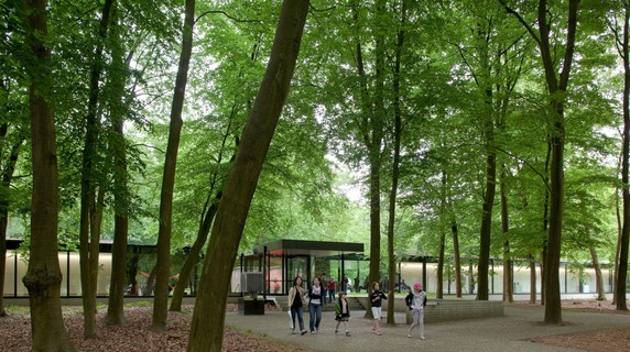 Image 4 of 6
