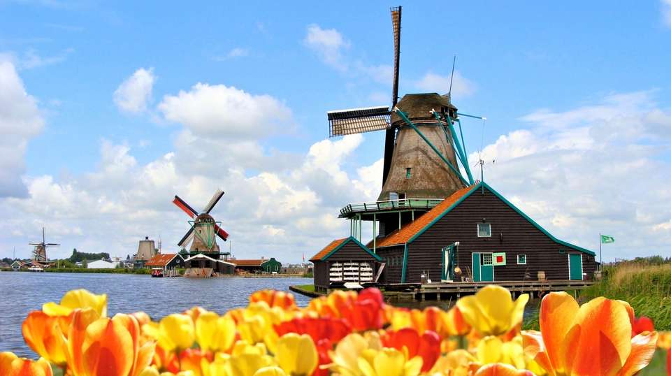 Brussel: Full-day Holland Guided Keukenhof & Windmills - undefined - Image 4