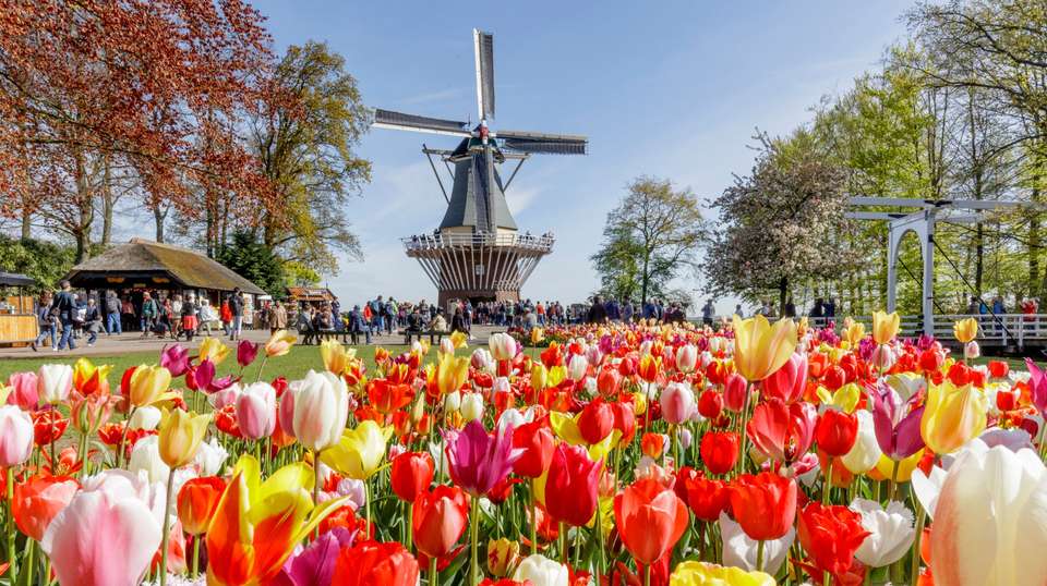 Brussel: Full-day Holland Guided Keukenhof & Windmills - undefined - Image 2