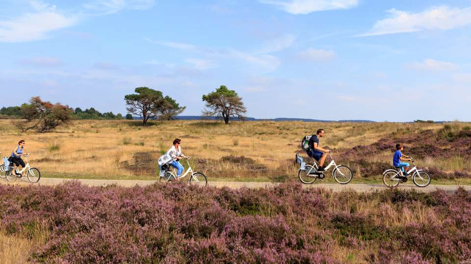 Amsterdam: Kröller Müller & N.P. The Hoge Veluwe - undefined - Image 6