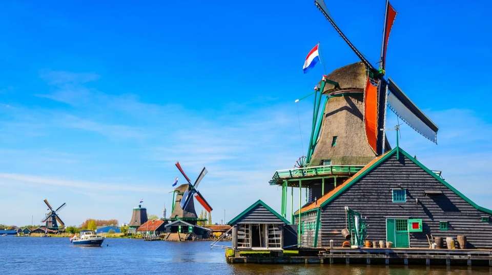 Brussel: Full-day Holland Guided Keukenhof & Windmills - undefined - Image 3