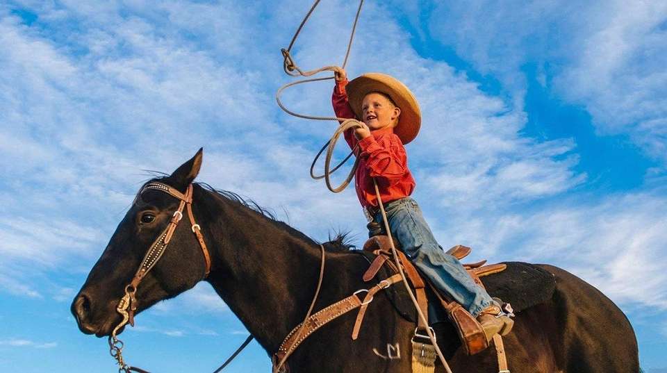 Wild West, Cowboys and Buffalos - Trafalgar - USA - Image 1