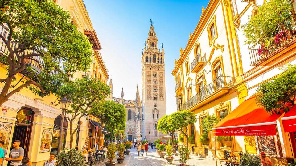 Spanish Wonder - Trafalgar - Spain - Image 2
