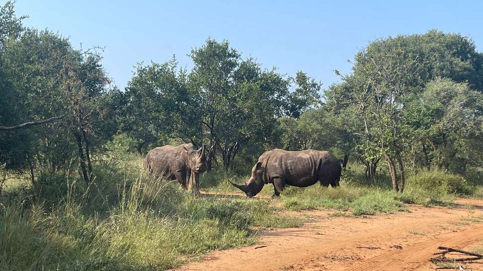 Essence of South Africa - Trafalgar - South Africa