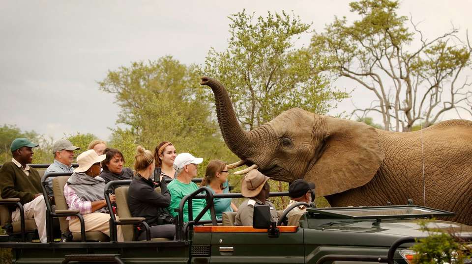 Best of South Africa - Trafalgar - South Africa - Image 3