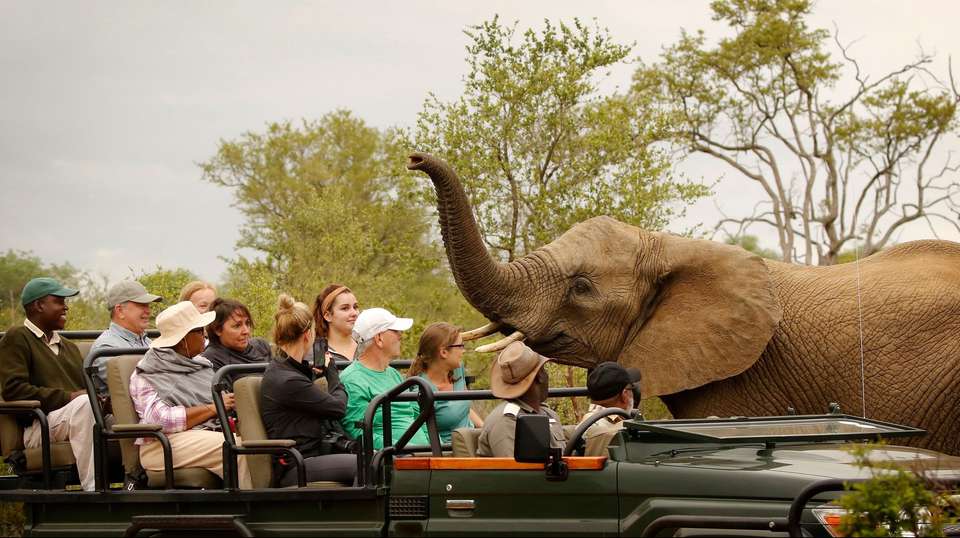 Wonders of Kenya - Trafalgar - Kenya - Image 5
