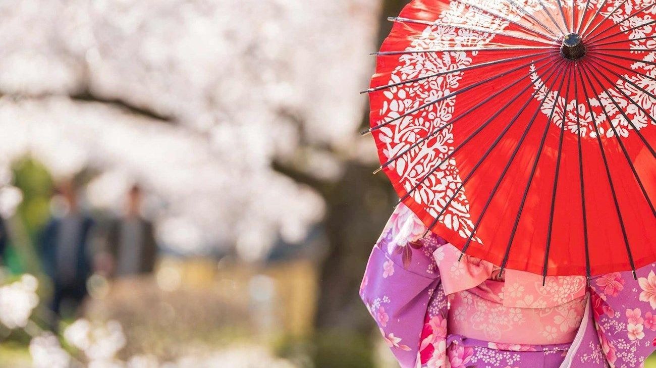 Classic Japan Tour with 26 Reviews by Trafalgar | Bookmundi
