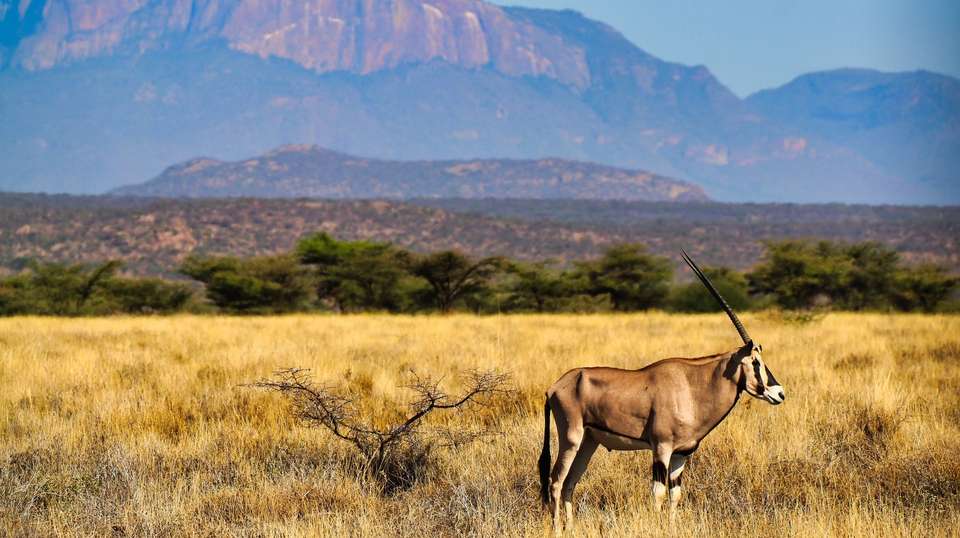 Wonders of Kenya - Trafalgar - Kenya - Image 1