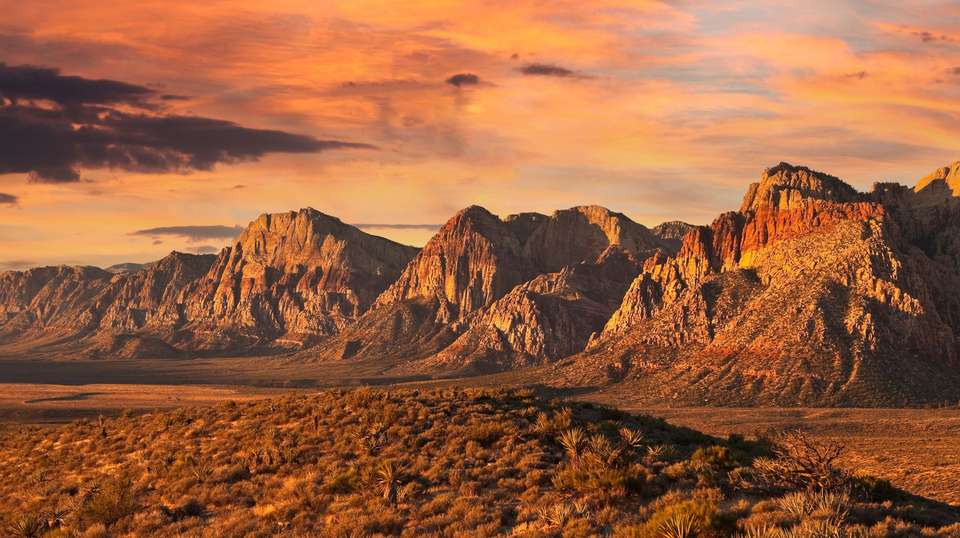 America's Great Desert National Parks - undefined - Image 2