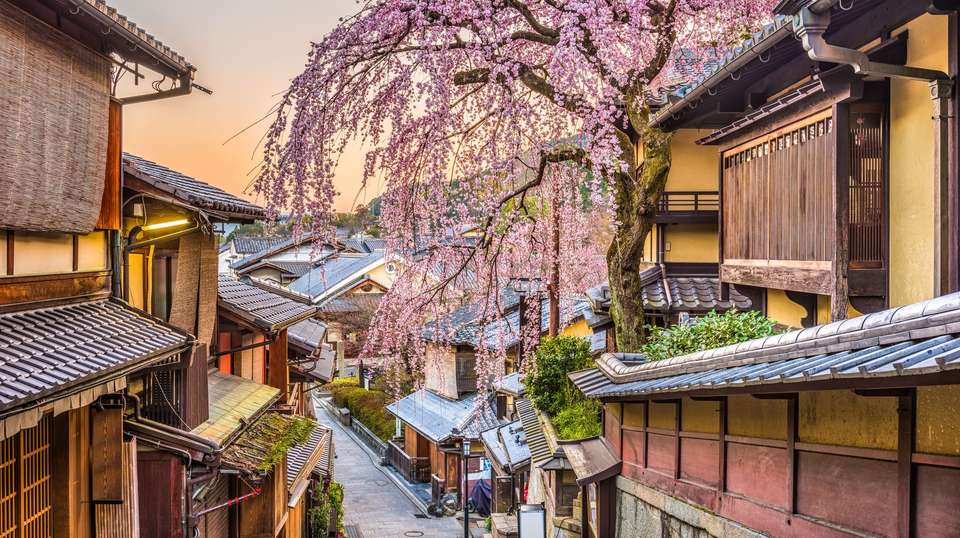 Splendours of Japan - Trafalgar - Japan - Image 5