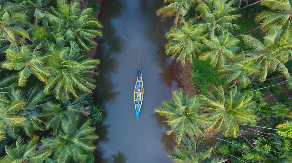 Captivating Kerala - Trafalgar - India - Image 4
