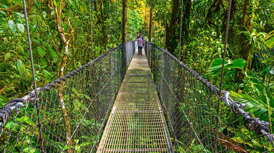 Costa Rica Nature Adventure - Trafalgar - Costa Rica - Image 4