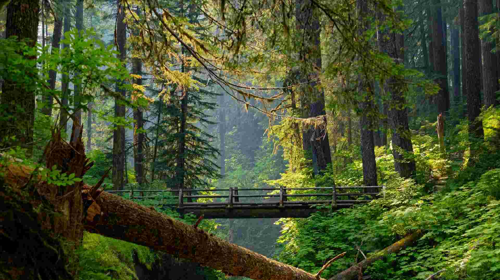 Scenic Seattle, Portland and Oregon Coast