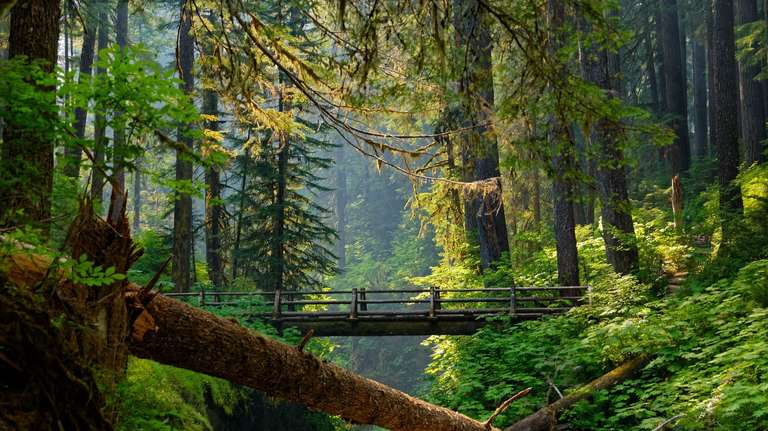 Scenic Seattle, Portland and Oregon Coast trip - alternative tour available
