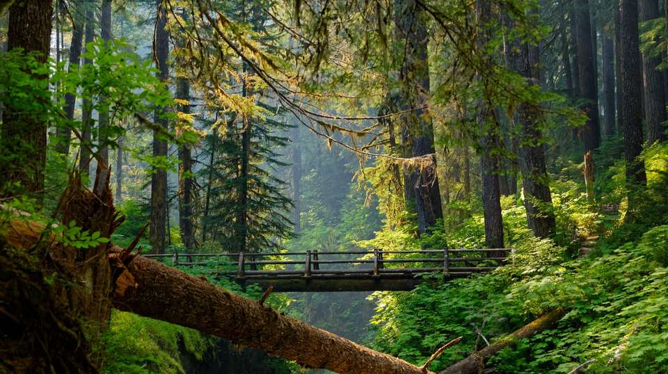 Scenic Seattle, Portland and Oregon Coast - Trafalgar - USA - Image 1