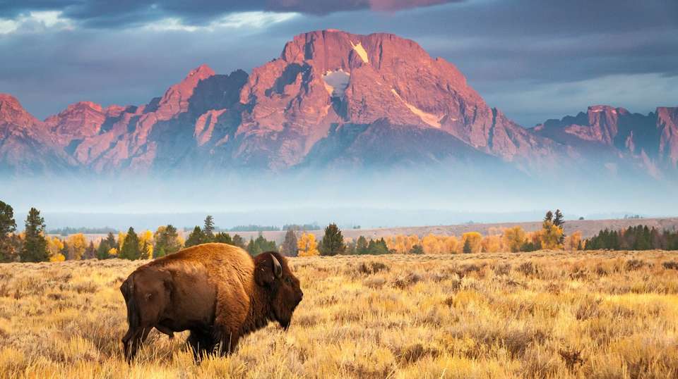 National Park Wonders - Trafalgar - USA - Image 1
