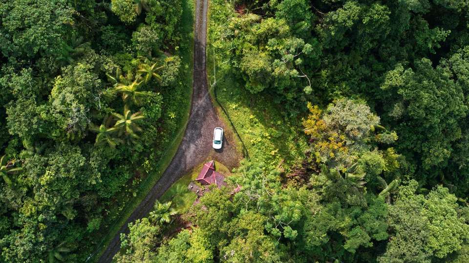 Monkeys, Jungles and Volcanoes - Trafalgar - Costa Rica - Image 2