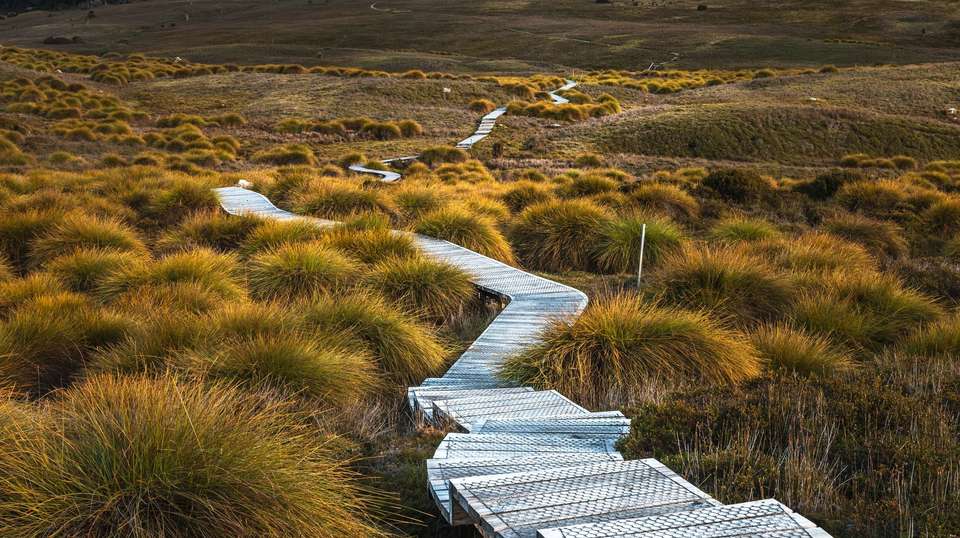 Tassie's Parks & Nature - Trafalgar - Australia - Image 2