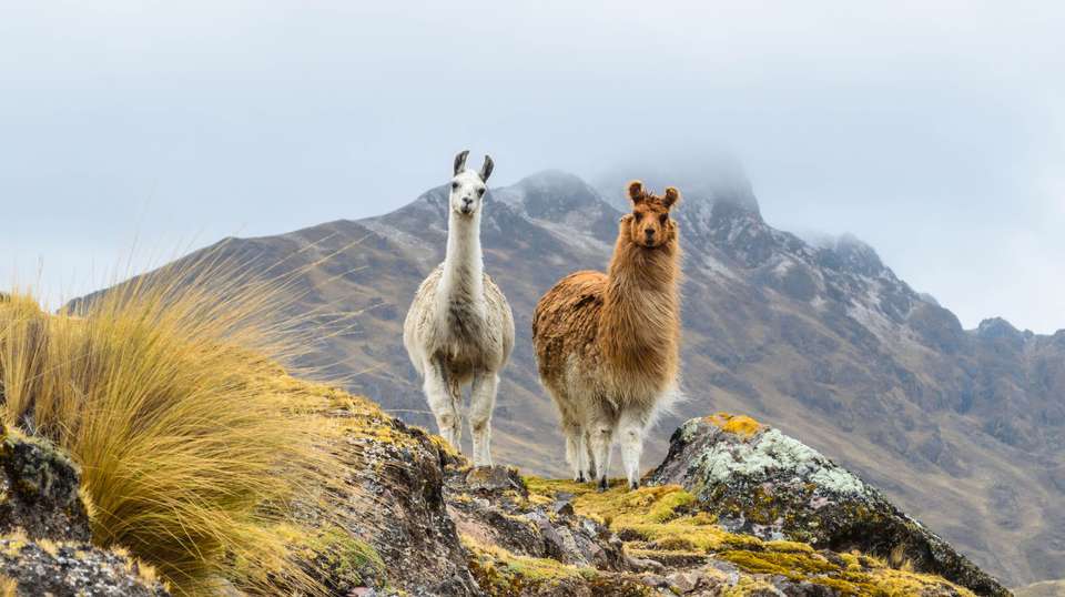 Highlights of Peru - Trafalgar - Peru - Image 1