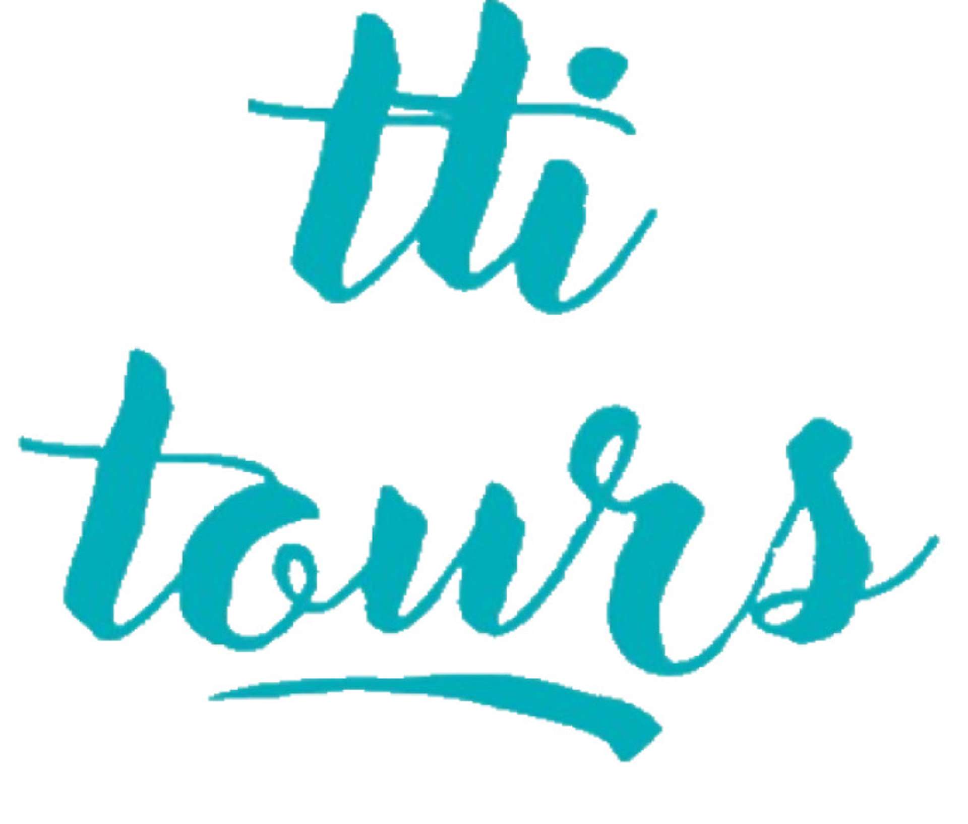 travel n tours india
