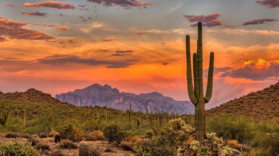 Western Discovery - Travel Talk - USA - Image 5