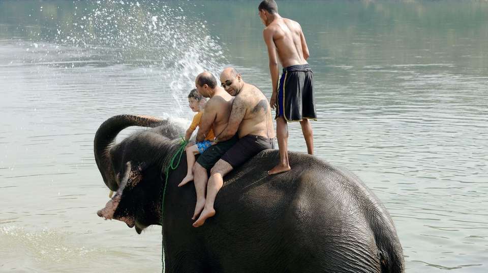 Essential Nepal & India (4 Star Hotels) - undefined - Image 22