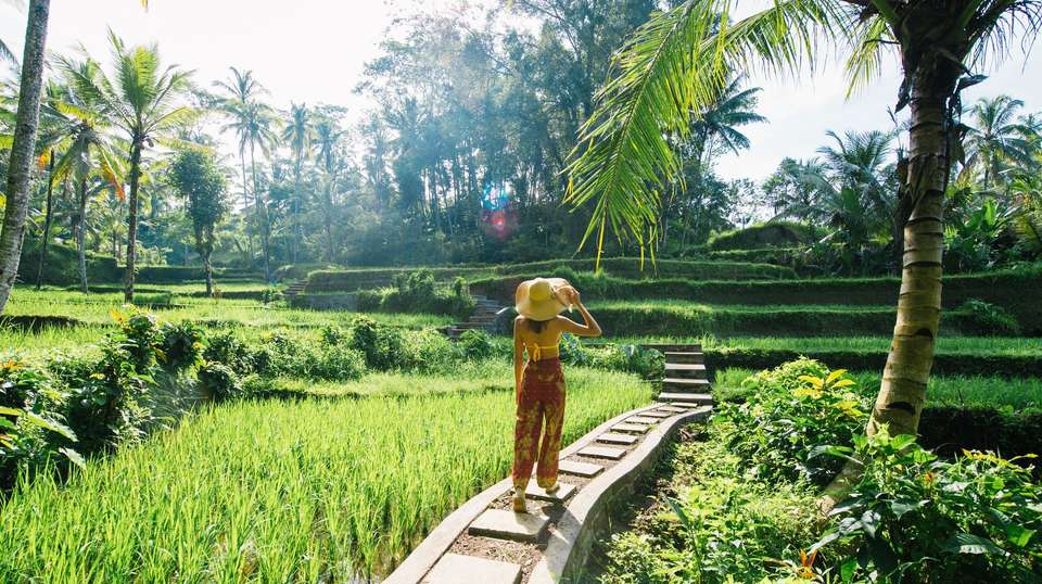 Amazing Bali 2025 (5 & 4 Star Hotels) - undefined - Image 2