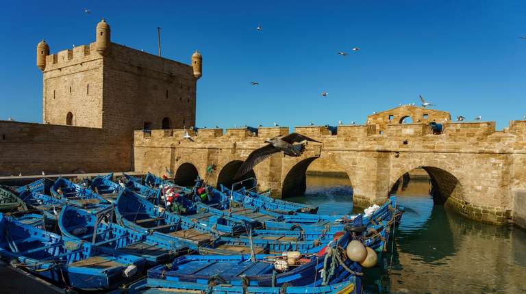 Adventure Morocco (4 Star Hotels) - Fall tours