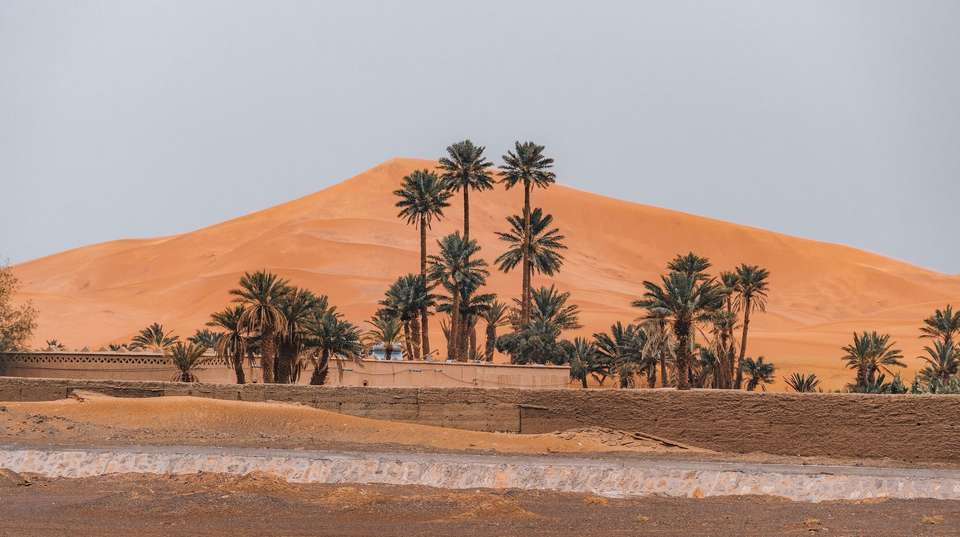 Exotic Morocco (4 Star Hotels) - Travel Talk - Morocco - Image 17