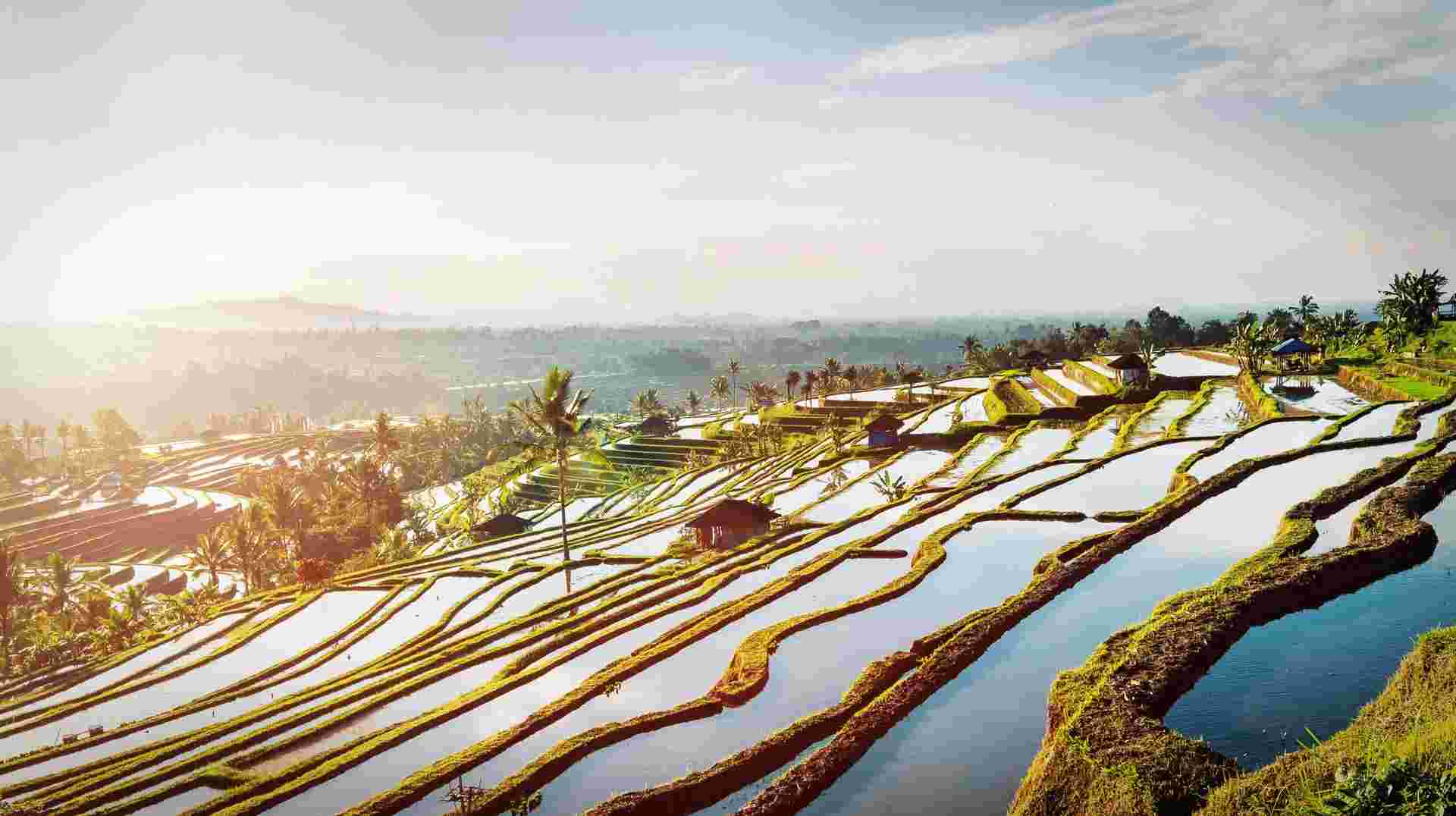 Ultimate Indonesia 2025 (5 & 4 Star Hotels)