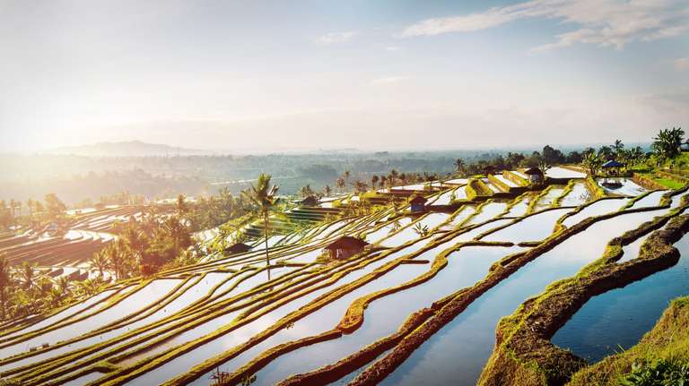 Ultimate Indonesia 2025 (5 & 4 Star Hotels)