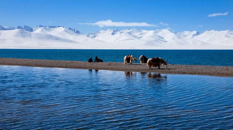 Tibetan Culture and Central Tibet Tour trip - alternative tour available