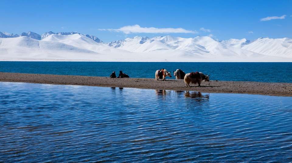 Tibetan Culture and Central Tibet Tour - undefined - Image 1