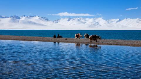 Natural Landmarks Sightseeing Tour: Tibetan Culture And Central Tibet Tour