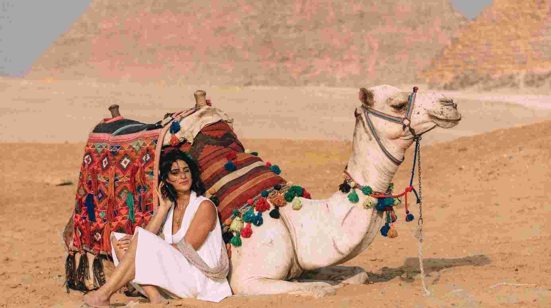 Discover Egypt: Cairo & Nile Cruise in 8 Days W/Air 