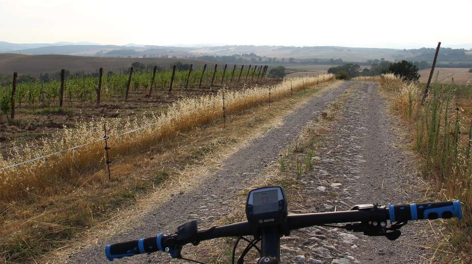 E-Bike Chianti Tour from Siena with Winery Lunch - Tuscan Escapes - Italy