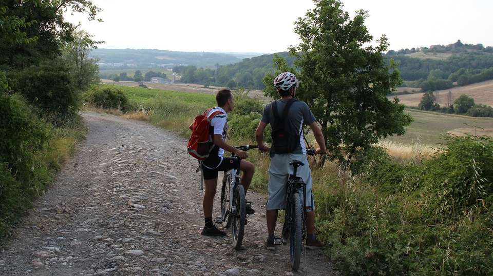 E-Bike Chianti Tour from Siena with Winery Lunch - Tuscan Escapes - Italy