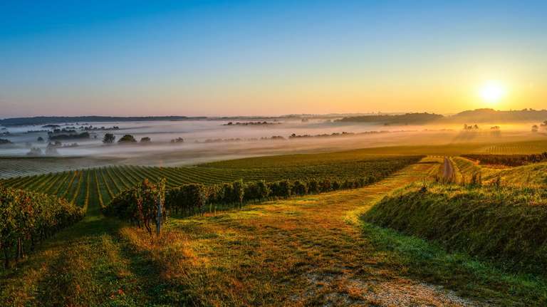 Brilliant Bordeaux (2026) trip - alternative tour available