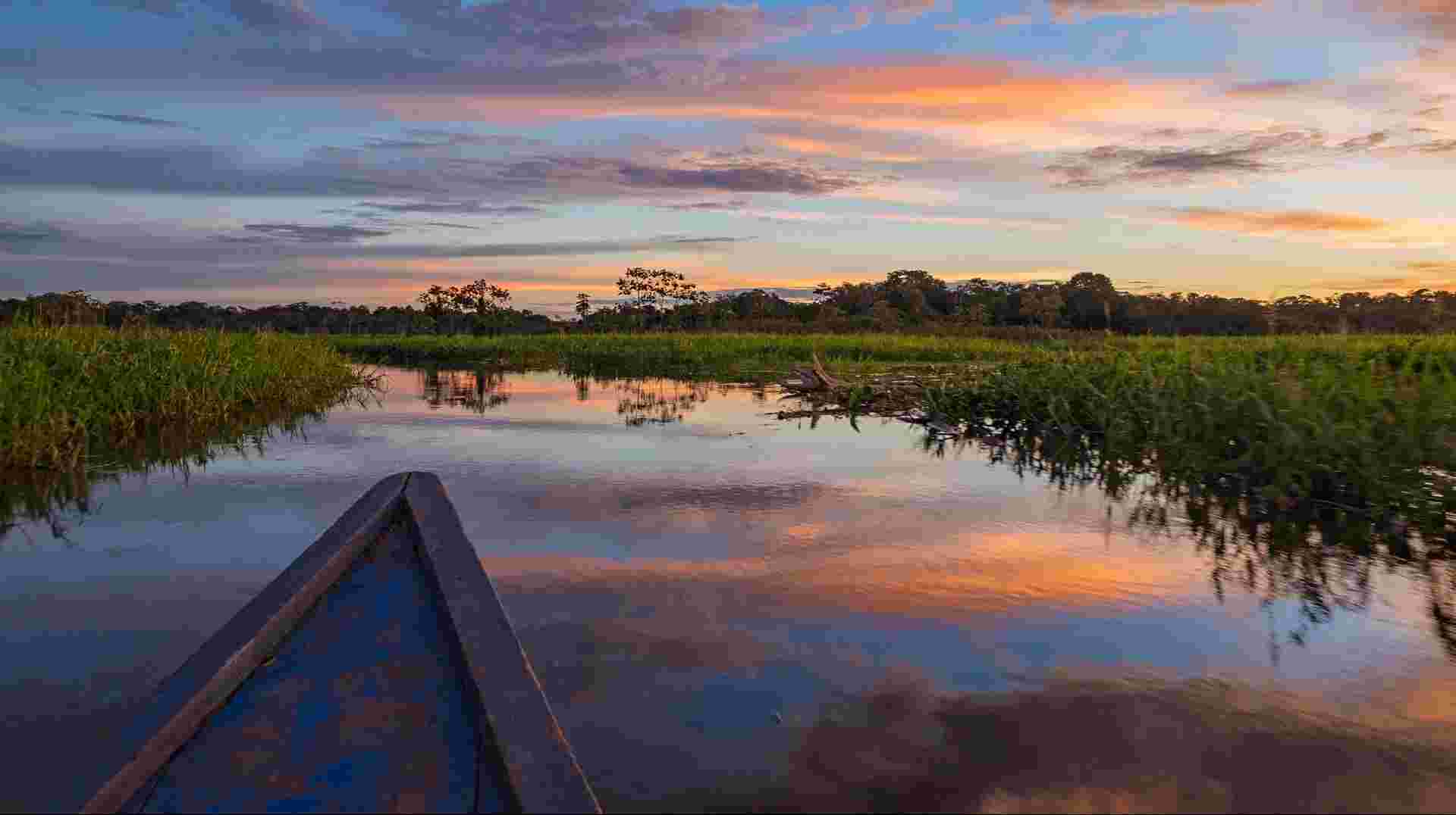 Peruvian Amazon & Machu Picchu Exploration (2027)