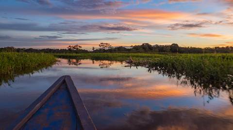 Peruvian Amazon & Machu Picchu Exploration (2026) - November 2026