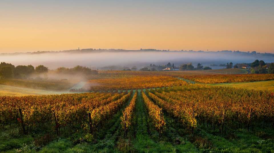 A Portrait of Majestic France (2027) - Uniworld - France - Image 5