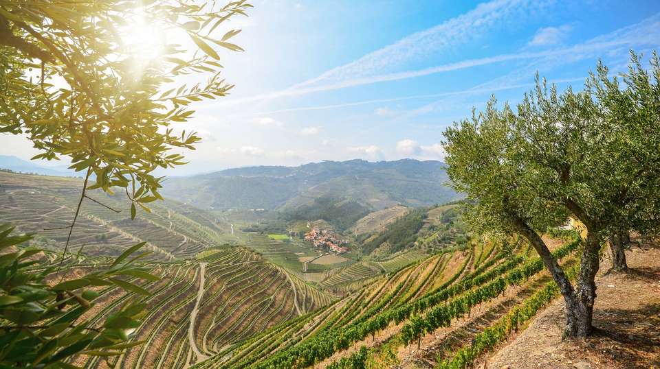 Douro River Valley (2027) - Uniworld - Portugal - Image 2
