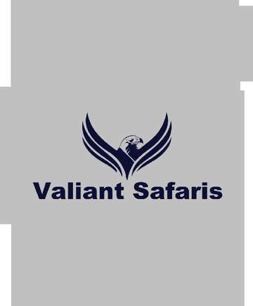 Valiant Safaris