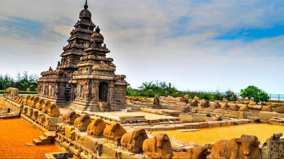 The Highlights of South India - Varanasi Excursion - India - Image 5