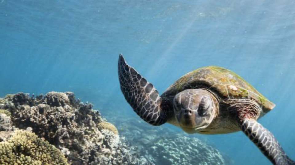 Perth to Karijini National Park- 13 Day Tour - Via Travel Australia - Australia