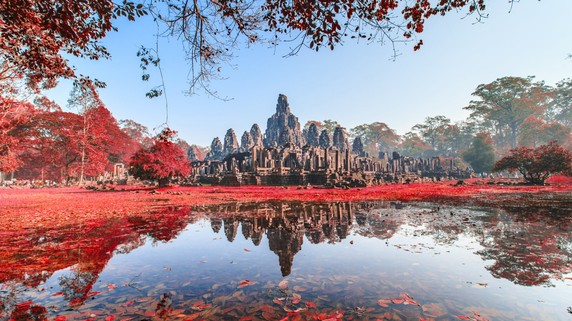 Image 3 of 22