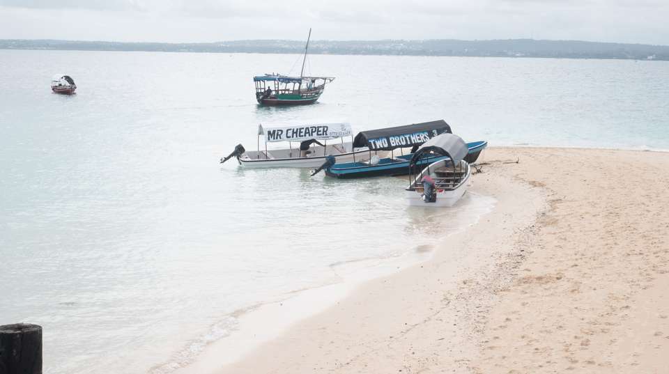 Prison Island Boat Trip - Zanzibar Tours & Travel - Tanzania - Image 5