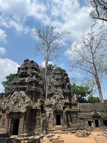 Review image by Anonymous for the trip title: Cambodia Explorer