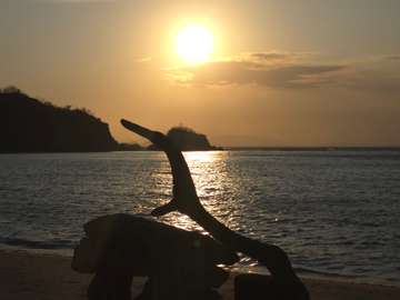 Review image by Anonymous for the trip title: Komodo Island Hopper